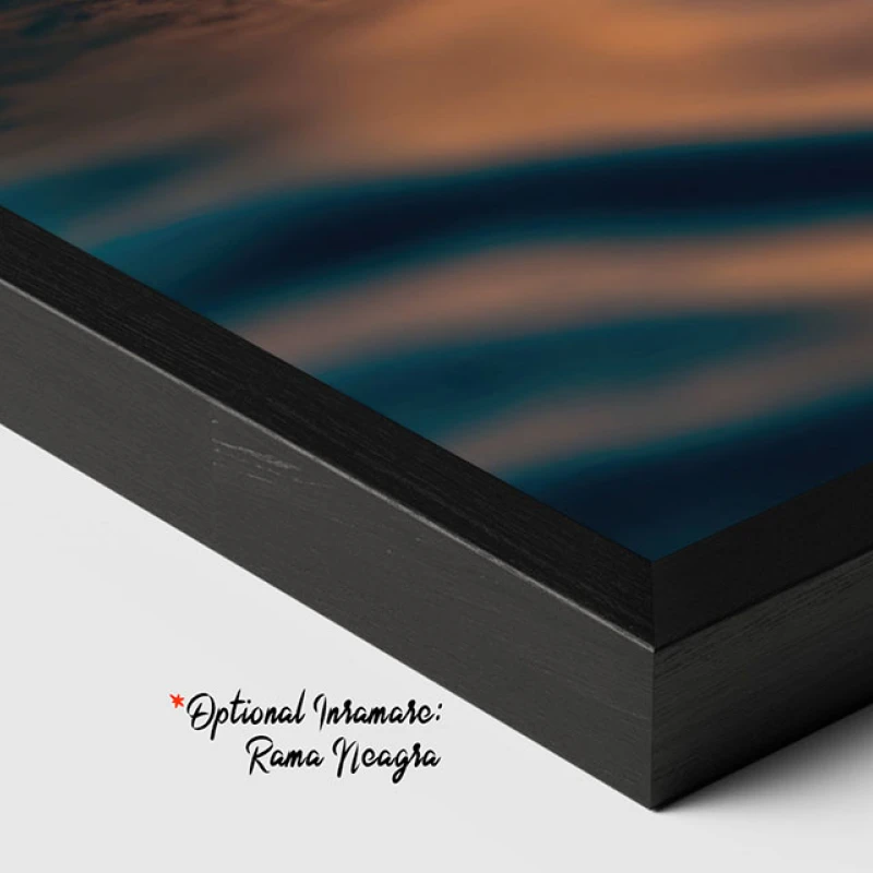 Îmbrățișarea Mării - Tablou Delfini