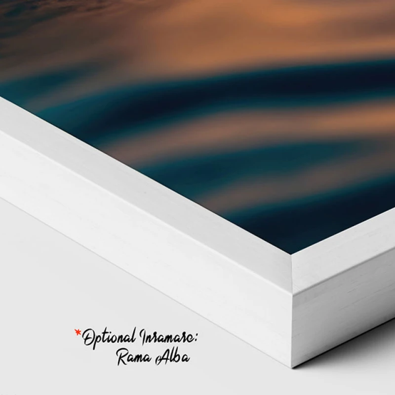 Îmbrățișarea Mării - Tablou Delfini