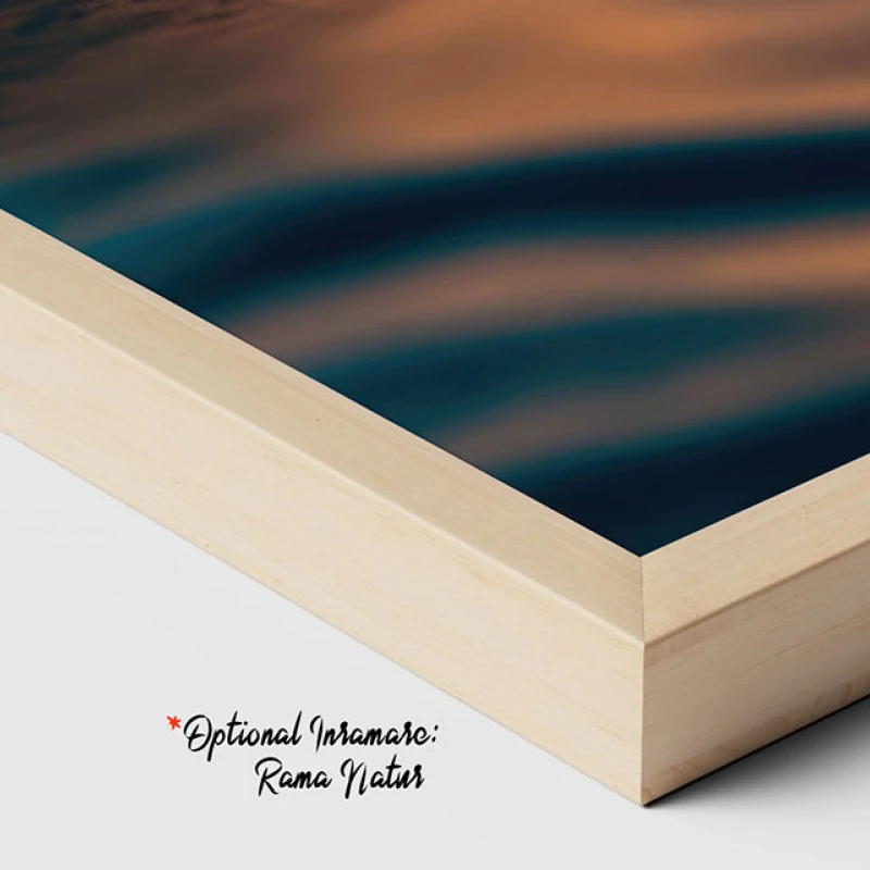 Îmbrățișarea Mării - Tablou Delfini