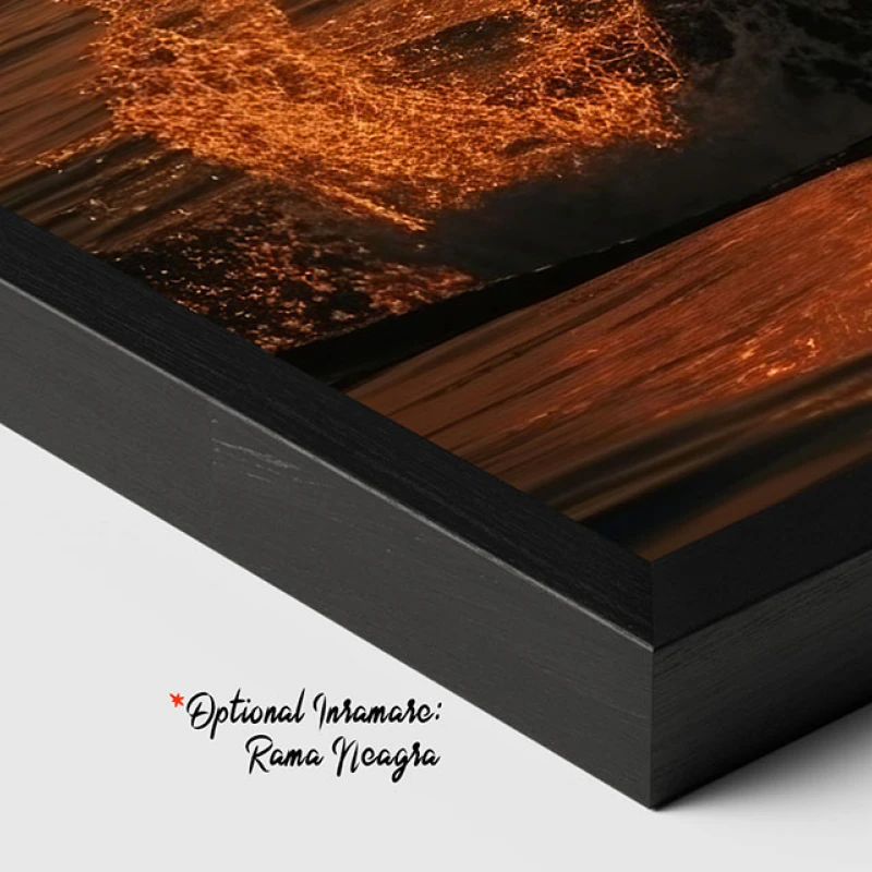 Culorile Serii - Tablou Delfini