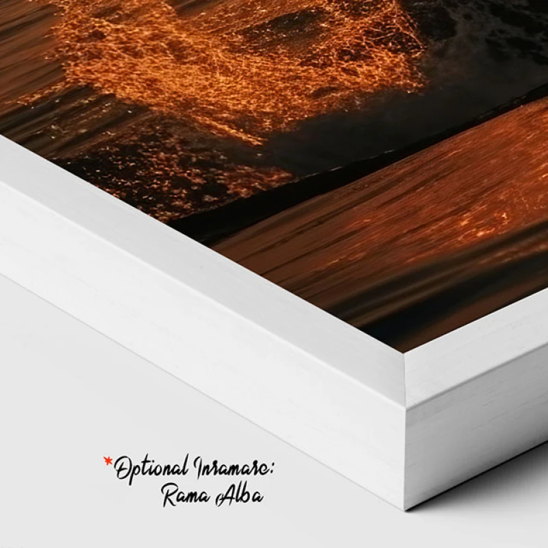 Culorile Serii - Tablou Delfini