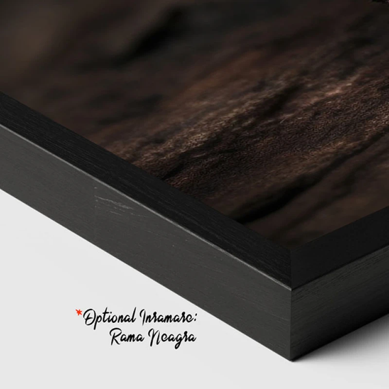 Un Fluture Albastru - Tablou Fluturi