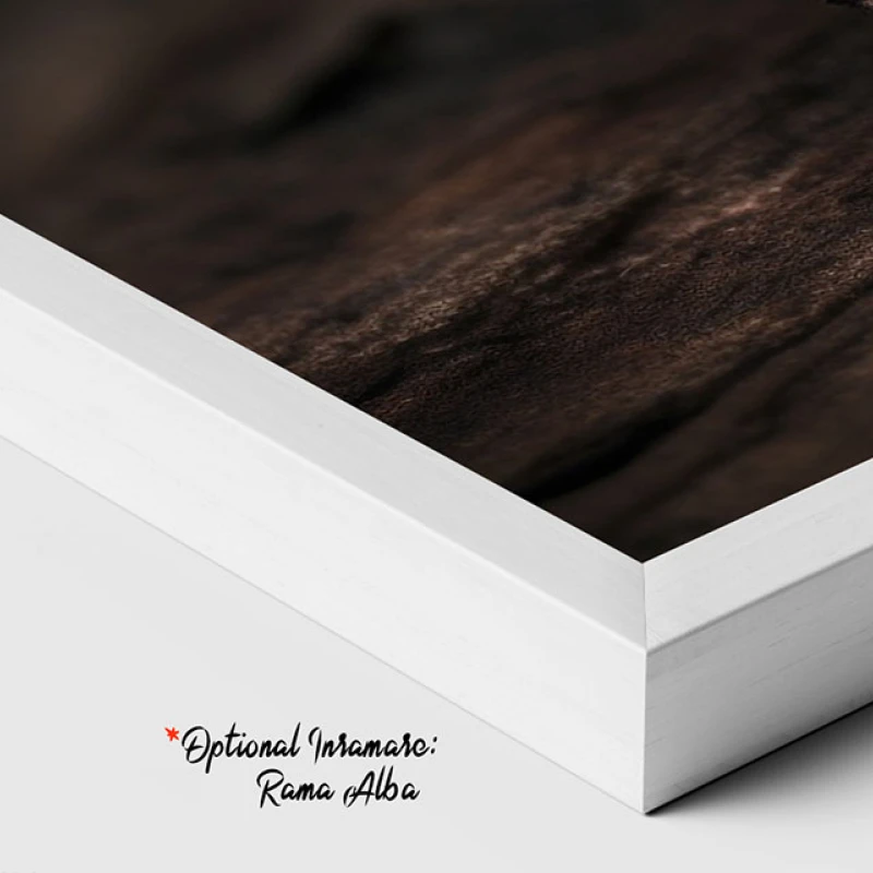 Un Fluture Albastru - Tablou Fluturi