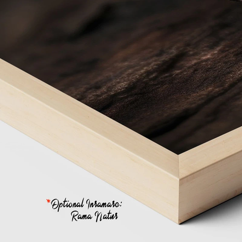 Un Fluture Albastru - Tablou Fluturi