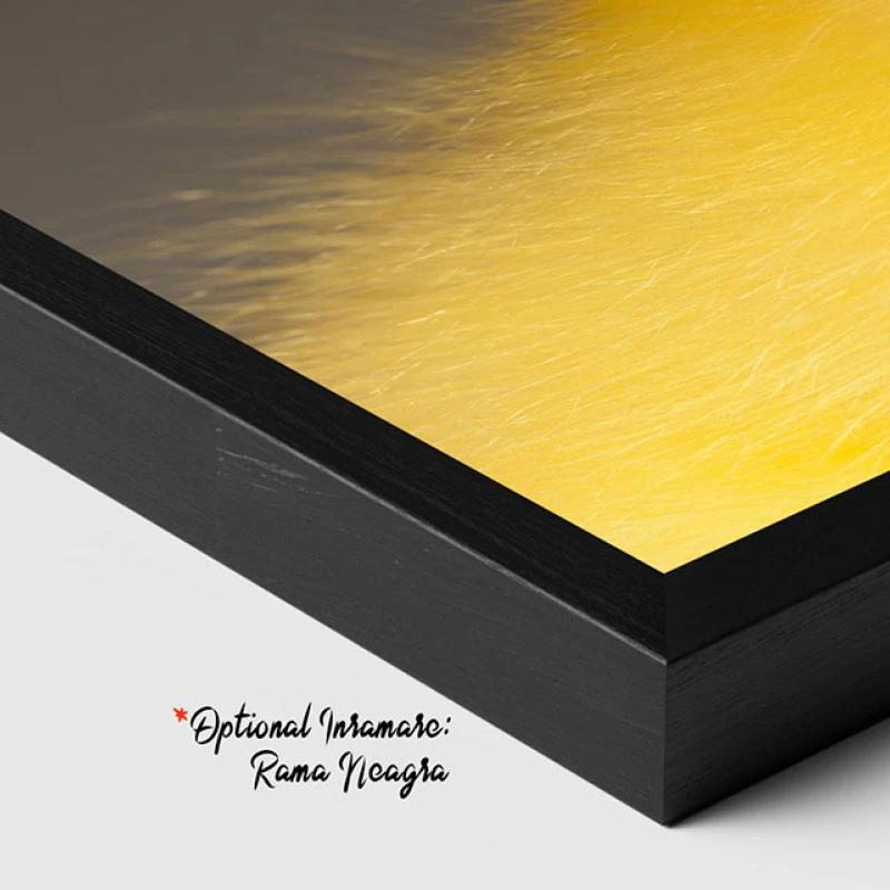 Adorabil și Pufos - Tablou Păsări