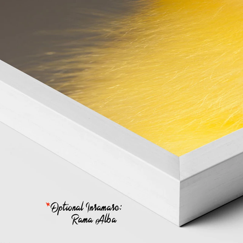 Adorabil și Pufos - Tablou Păsări