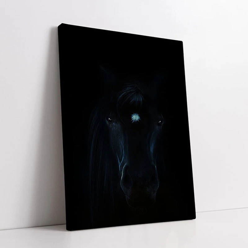 Black Beauty - Tablou Cai