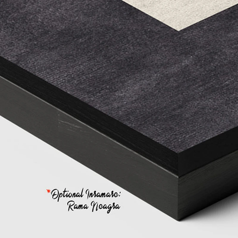 Forme si Viziuni - Tablou geometric