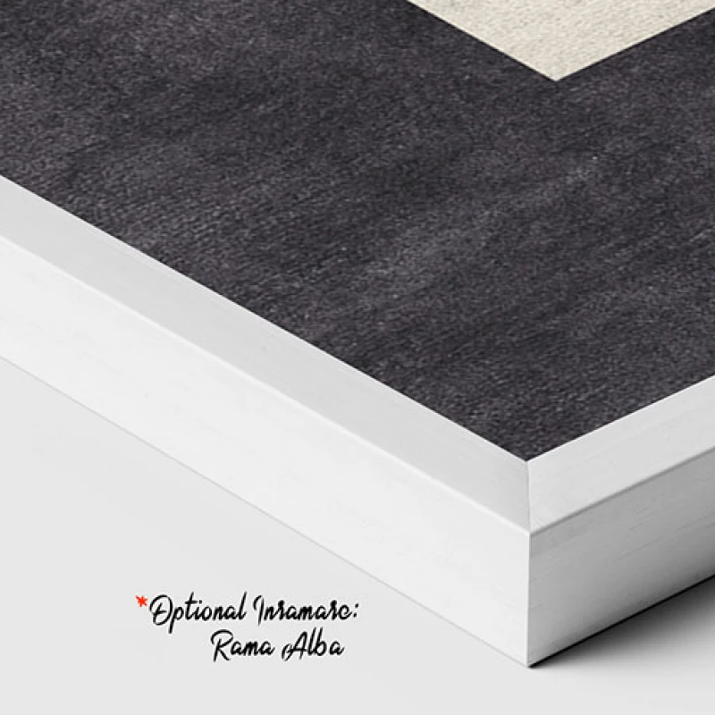Forme si Viziuni - Tablou geometric
