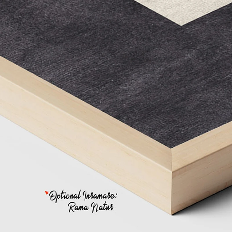 Forme si Viziuni - Tablou geometric
