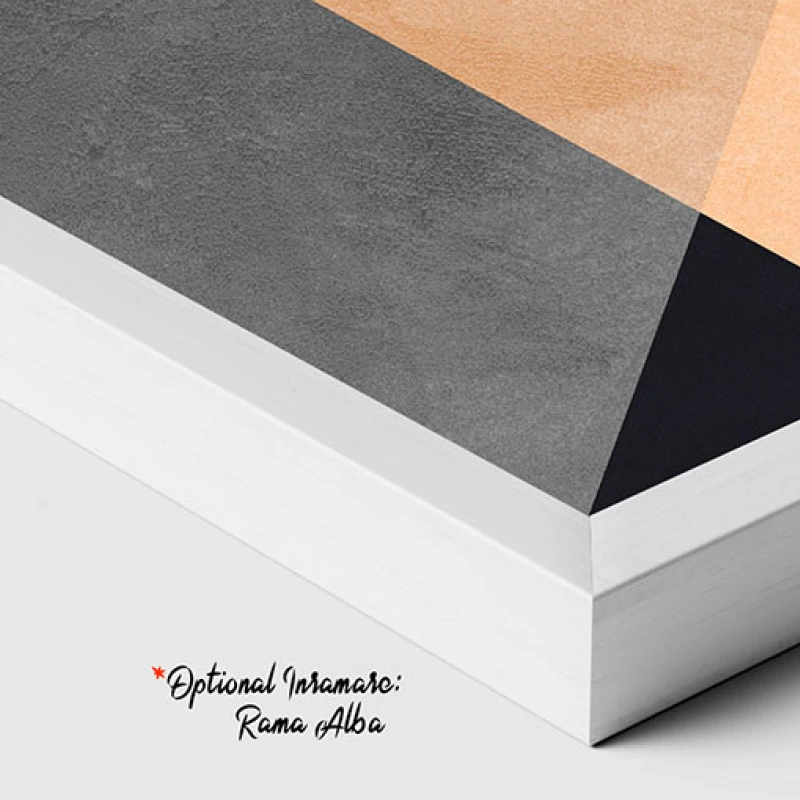 Eleganta Formelor Geometrice - Tablou geometric
