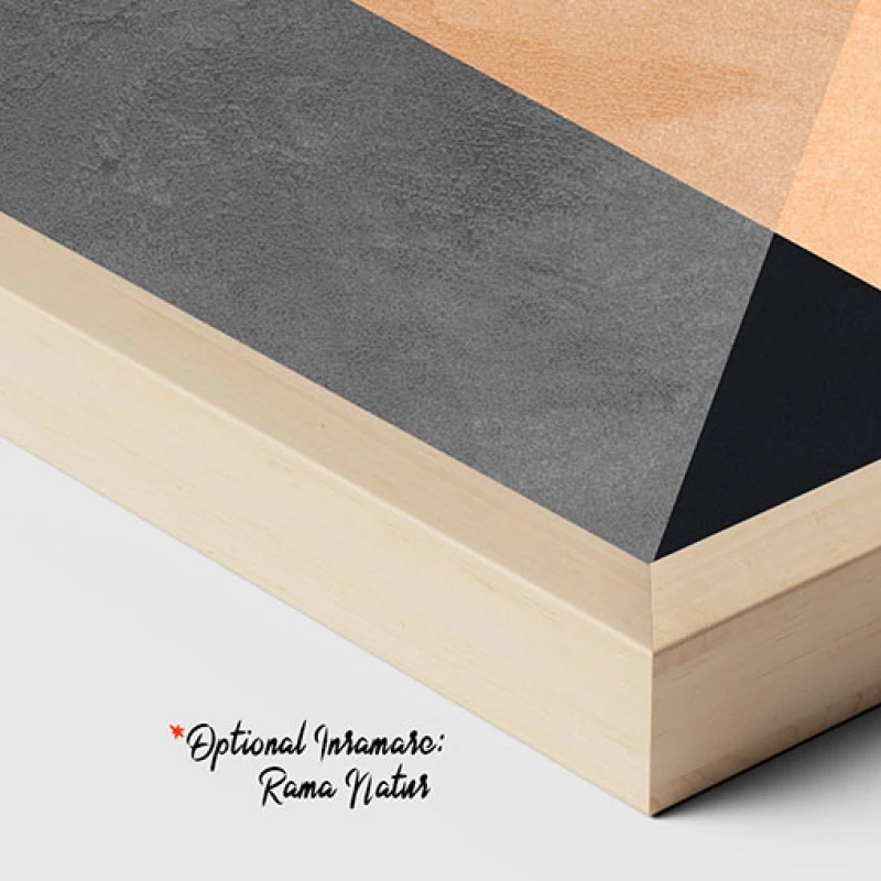 Eleganta Formelor Geometrice - Tablou geometric