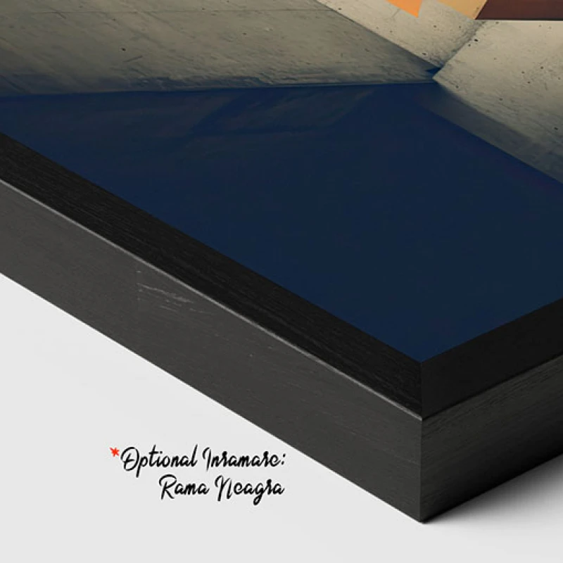 Vectori Dinamici - Tablou geometric