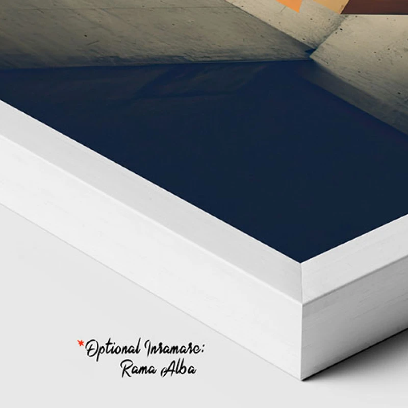 Vectori Dinamici - Tablou geometric