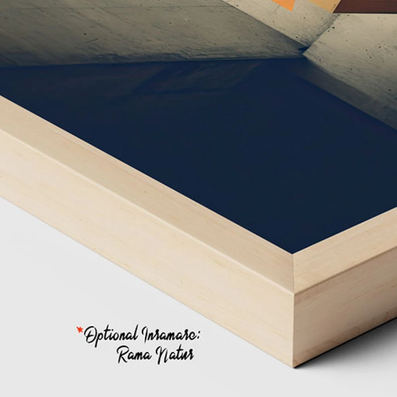 Vectori Dinamici - Tablou geometric